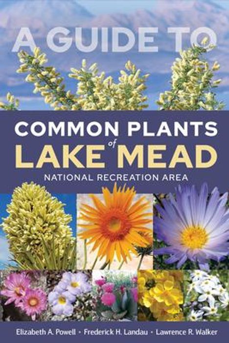 Elizabeth A. Powell: A Guide to Common Plants of Lake Mead National Recreation Area, Buch