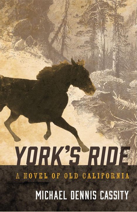 Michael Dennis Cassity: York's Ride, Buch