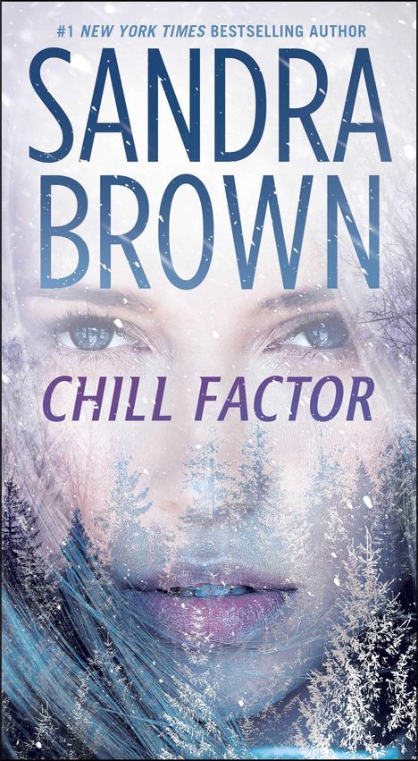 Sandra Brown: Chill Factor, Buch