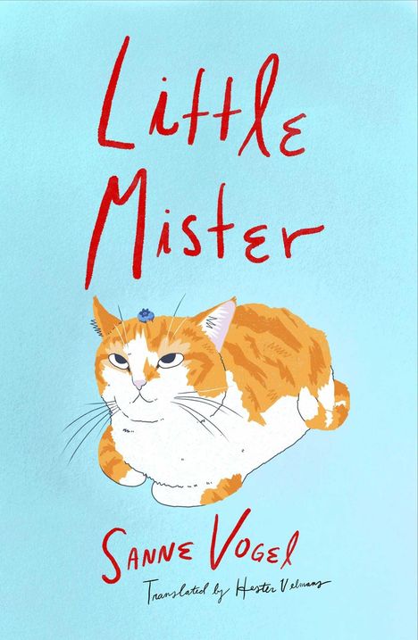 "Little Mister", "Sanne Vogel", "Translated by Hester Velmans". Illustration einer orange-weißen Katze auf blauem Hintergrund.