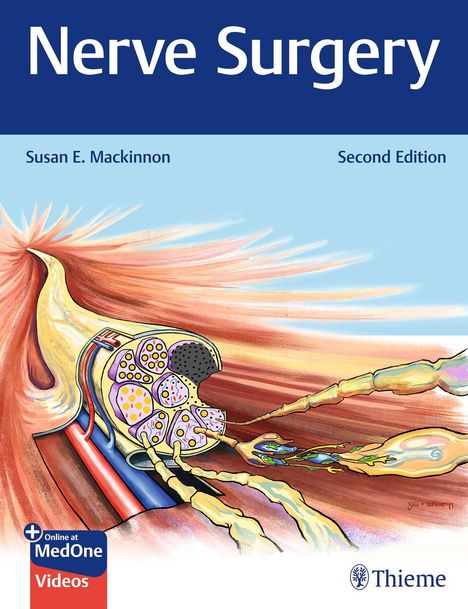 "Nerve Surgery", Susan E. Mackinnon, Second Edition, Online at MedOne Videos, Illustration eines Nervenbündels.