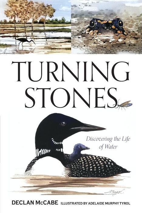 Declan McCabe: Turning Stones, Buch