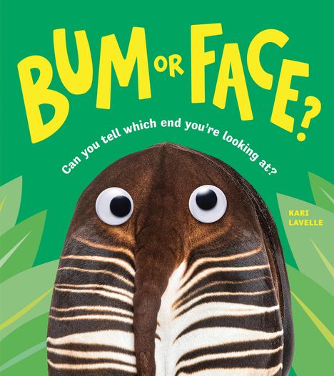 Kari Lavelle: Bum or Face, Buch