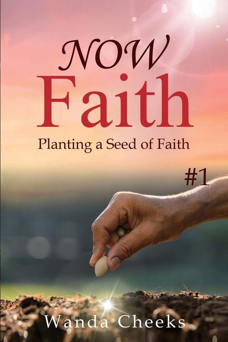 Wanda Cheeks: NOW Faith, Buch