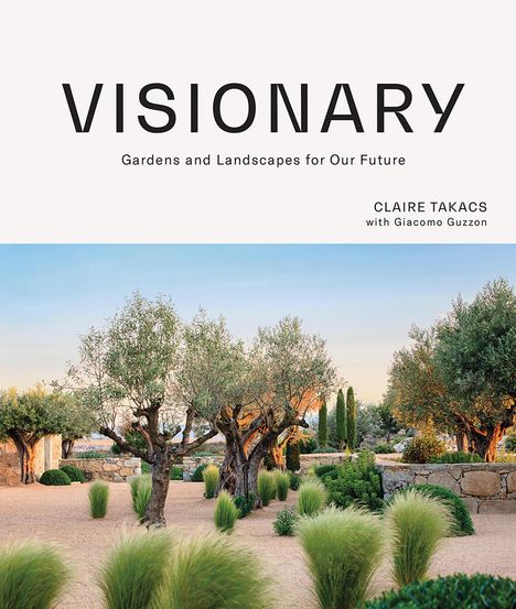 Claire Takacs: Visionary, Buch