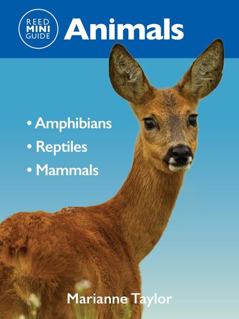 Mariane Taylor: Reed Mini Guide: Animals, Buch