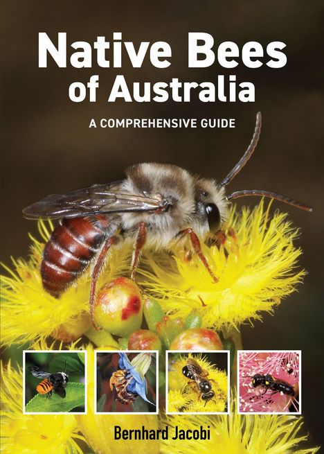Titel: "Native Bees of Australia: A Comprehensive Guide" von Bernhard Jacobi. Detailaufnahmen von Bienen auf Blüten.