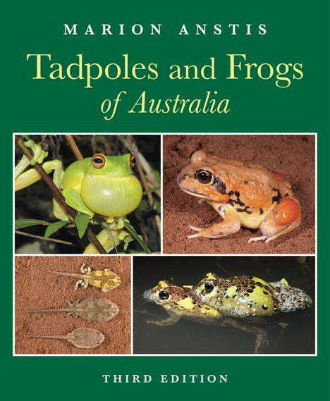 Titel: Tadpoles and Frogs of Australia. Oben ein grüner Frosch, rechts ein orange-brauner Frosch. Unten Kaulquappen und zwei Frösche.