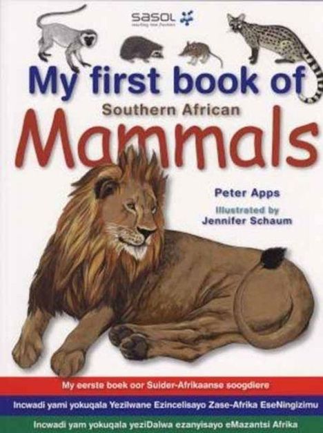 "My first book of Southern African Mammals" von Peter Apps, Illustrationen von Jennifer Schaum. Löwe und andere Tiere.
