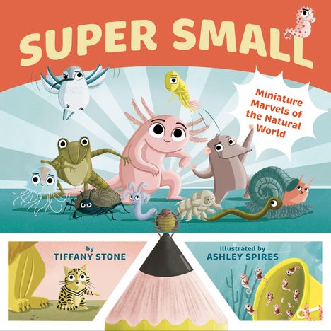 Tiffany Stone: Super Small, Buch