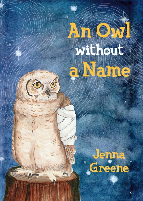 Greene Jenna: An Owl Without a Name, Buch