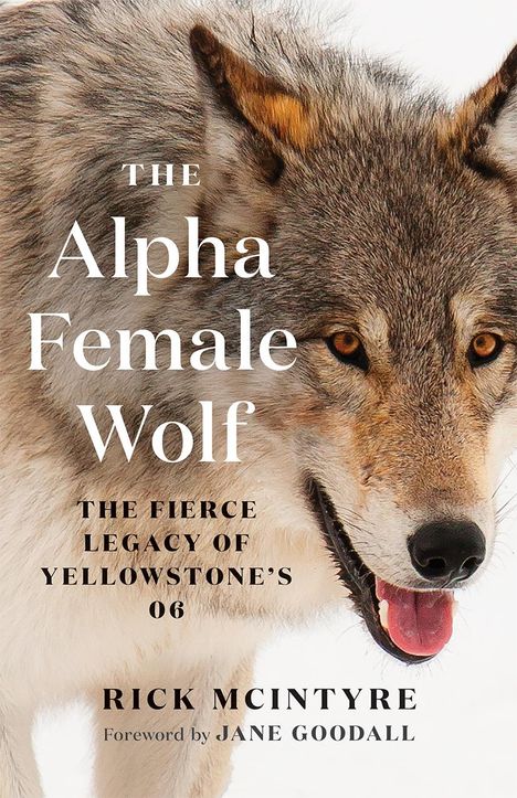 Rick McIntyre: The Alpha Female Wolf, Buch