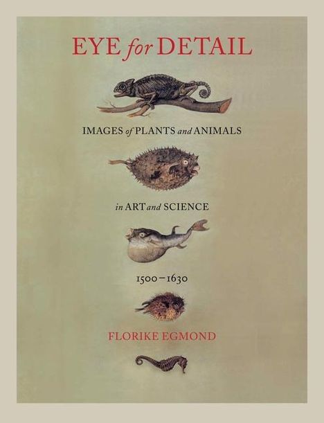 Florike Egmond: Eye for Detail, Buch