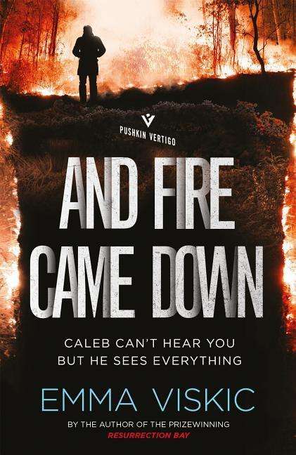 Emma Viskic: And Fire Came Down, Buch