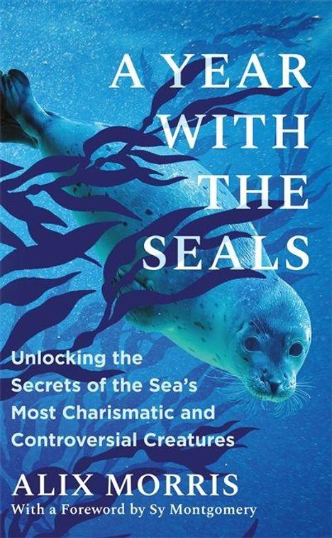 "A Year with the Seals" von Alix Morris, verspricht Einblicke in das Leben von Robben. Ein Robbe schwimmt unter Wasser.
