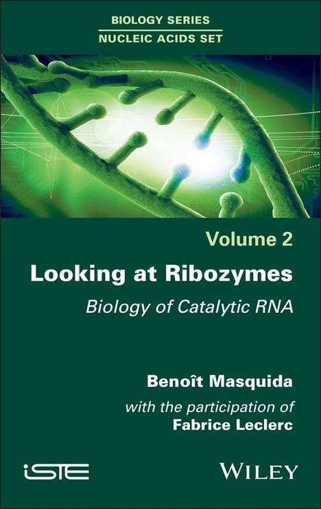 Looking at Ribozymes, Buch