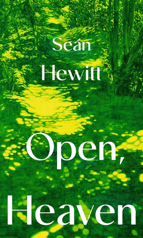 Seán Hewitt: Open, Heaven, Buch