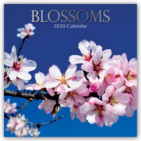 Blossoms, Buch