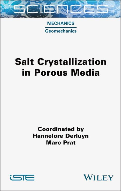 Salt Crystallization in Porous Media, Buch