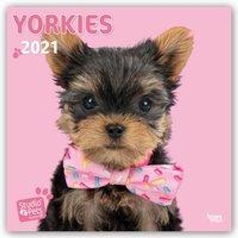 Myrna Huijing: Huijing, M: Be my Yorkie Yorkshire Terrier 2021 - 18-Monats, Kalender