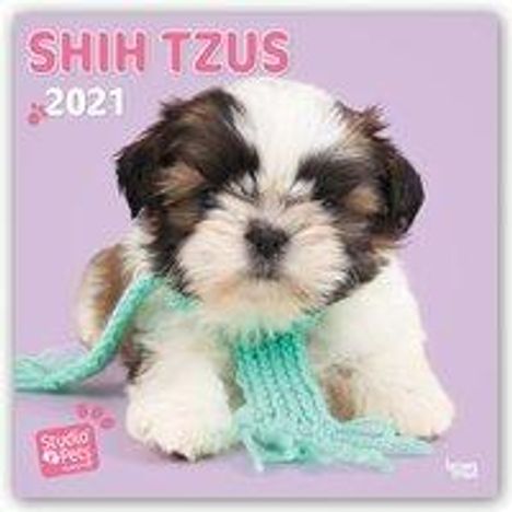 Myrna Huijing: Huijing, M: Sweet Shih Tzu - Shih Tzu 2021 - 18-Monatskalend, Kalender