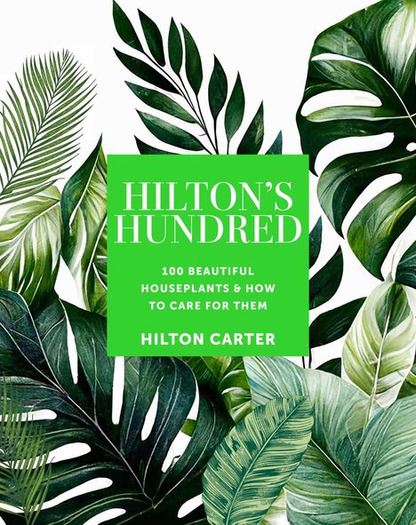 Hilton Carter: Hilton's Hundred, Buch