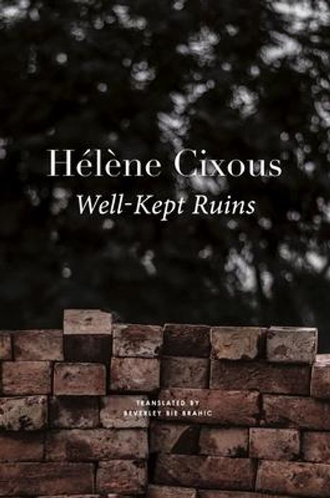 Beverley Bie Brahic: Well-Kept Ruins, Buch