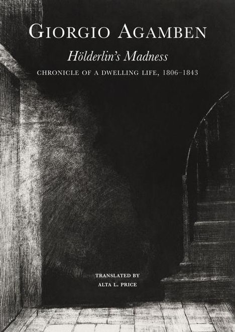 Alta L. Price: Holderlin's Madness - Chronicle of a Dwelling Life, 1806-1843, Buch