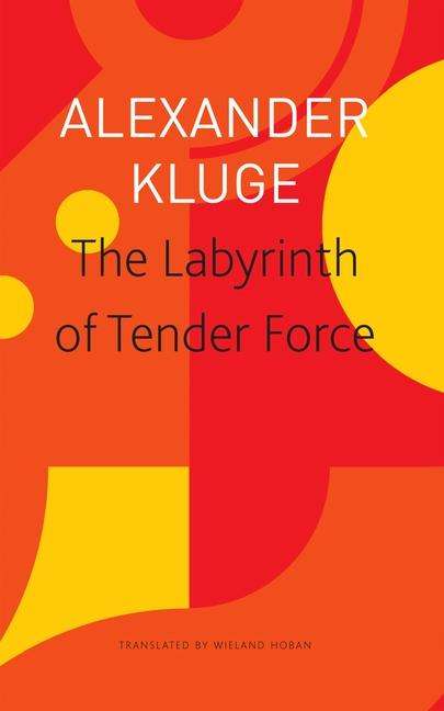 Alexander Kluge: The Labyrinth of Tender Force - 166 Love Stories, Buch