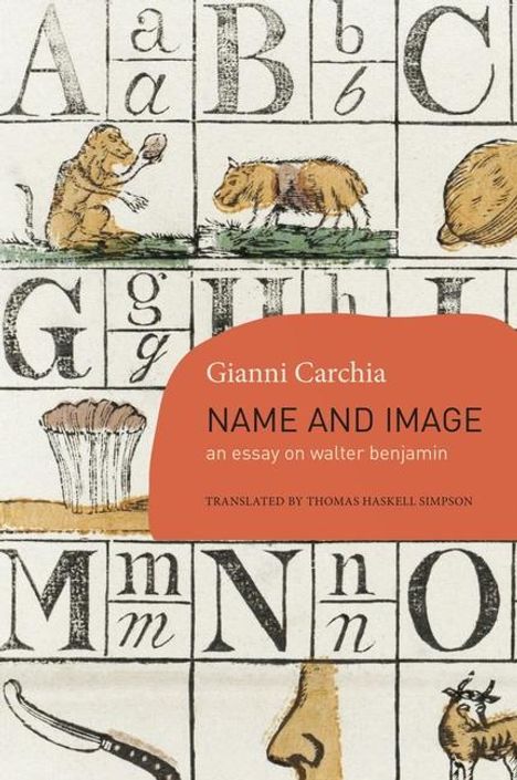 Gianni Carchia: Name and Image, Buch