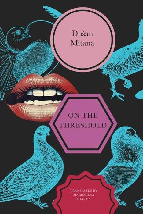 Dusan Mitana: On the Threshold, Buch