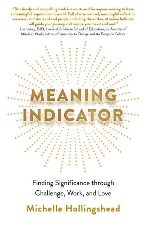 Michelle Hollingshead: Meaning Indicator, Buch