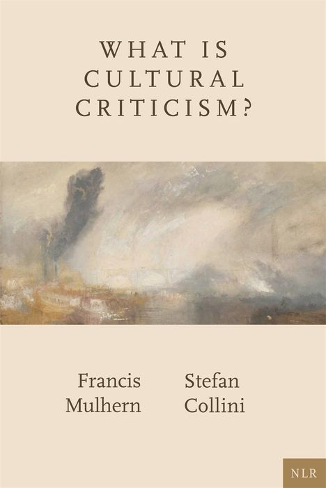 Francis Mulhern: What Is Cultural Criticism?, Buch