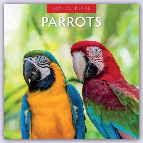 Red Robin Publishing Ltd.: Parrots 2024 Square Wall Calendar, Buch