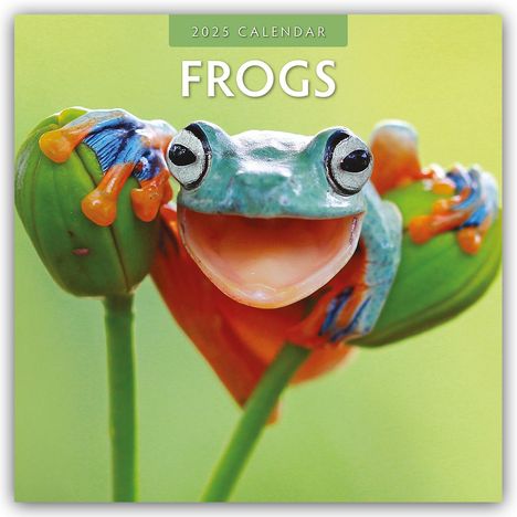 Frogs - Frosch - Frösche 2025 - 16-Monatskalender, Kalender