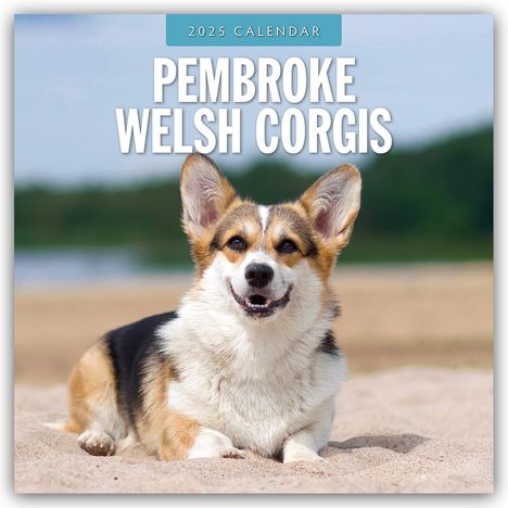 Pembroke Welsh Corgis - Pembroke Welsh Corgi 2025 - 16-Monatskalender, Kalender