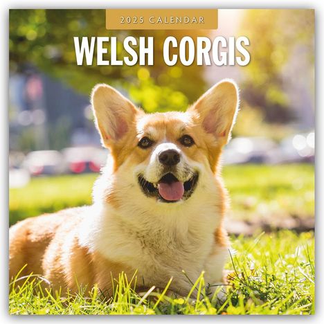 Welsh Corgis - Welsh Corgi 2025 - 16-Monatskalender, Kalender