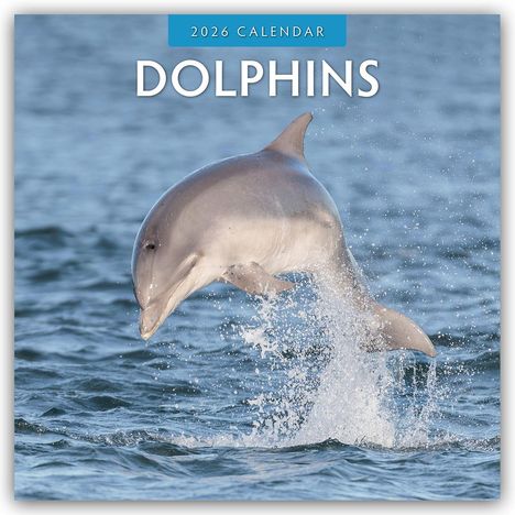 Robin Red: Dolphins - Delfine 2026 - 16-Monatskalender, Kalender