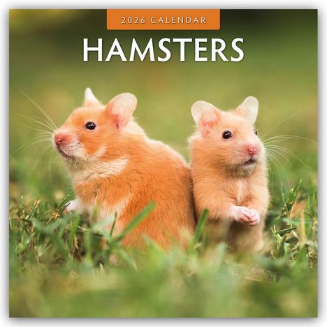 Robin Red: Hamsters - Hamster 2026 - 16-Monatskalender, Kalender