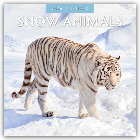 Robin Red: Snow Animals - Arktische Tiere 2026 - 16-Monatskalender, Kalender