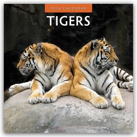 Robin Red: Tigers - Tiger 2026 - 16-Monatskalender, Kalender