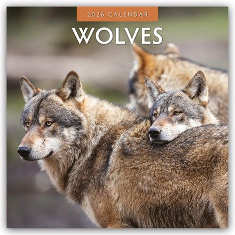 Robin Red: Wolves - Wölfe 2026 - 16-Monatskalender, Kalender