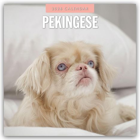 Robin Red: Pekingese - Pekinese - Peking Palasthund 2026 - 16-Monatskalender, Kalender