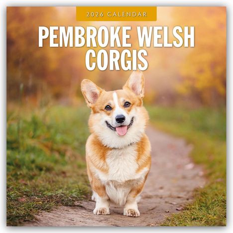 Robin Red: Pembroke Welsh Corgis - Pembroke Welsh Corgi 2026 - 16-Monatskalender, Kalender