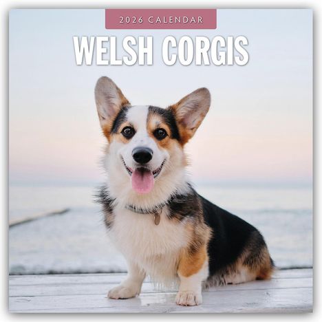Robin Red: Welsh Corgis - Welsh Corgi 2026 - 16-Monatskalender, Kalender