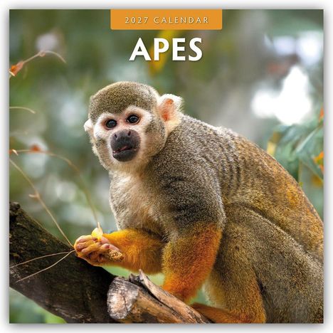 Text: "2027 CALENDAR APES". Ein Affe sitzt auf einem Ast mit grünlich-verwischtem Hintergrund.