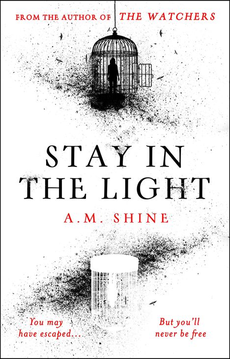 A. M. Shine: Stay in the Light, Buch