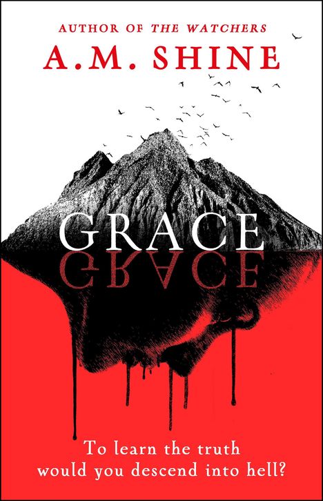 A. M. Shine: Grace, Buch