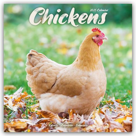 Avonside Publishing Ltd: Chickens - Hühner 2025 - 16-Monatskalender, Kalender