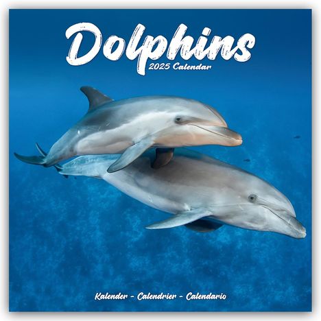 Avonside Publishing Ltd: Dolphins - Delfine - Delphine 2025 - 16-Monatskalender, Kalender